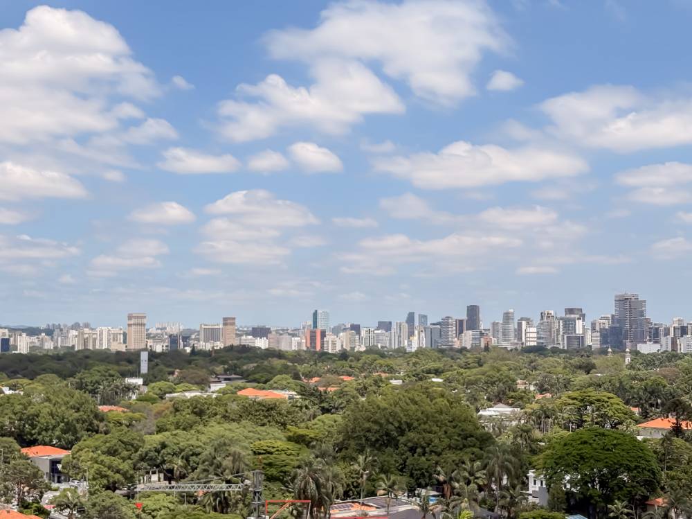 Apartamento à venda na Rua Ouro BrancoJARDINS - apartamento-jardim-paulista-sao-paulo-151652-10.jpg