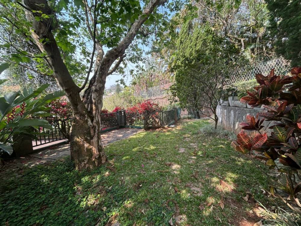 Casa Padrão à venda na Rua General Euclides FigueiredoMorumbi - 999-casa-padrao-morumbi-sao-paulo-112414-13.jpg